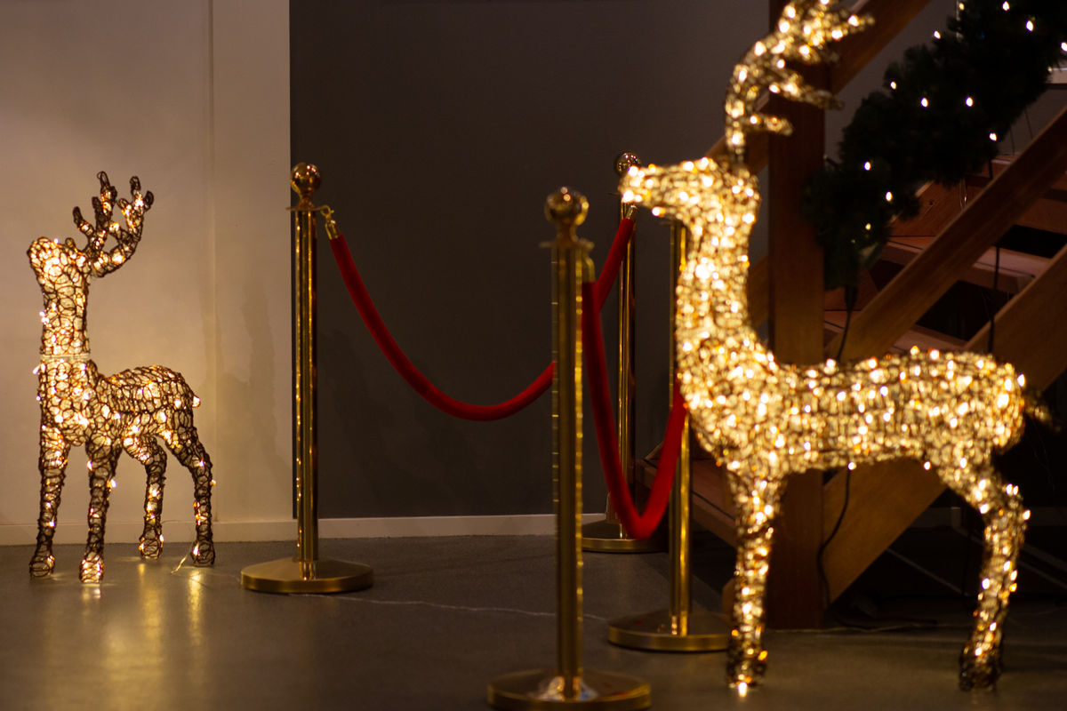 Lichtfiguren